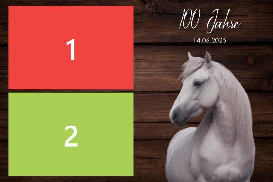 firmenfeier 04 pferd 01