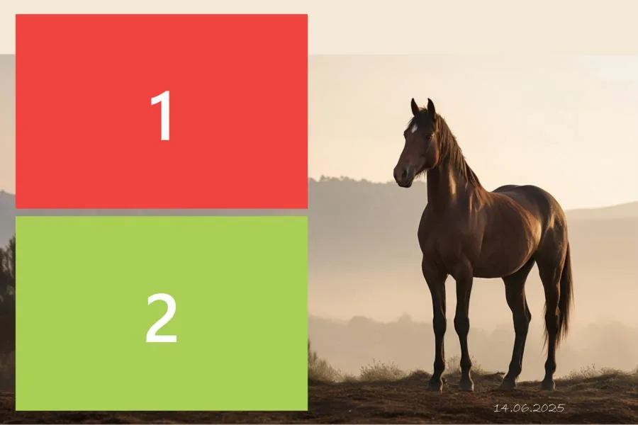 firmenfeier 04 pferd 02